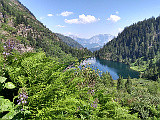 Blick auf den Hüttensee