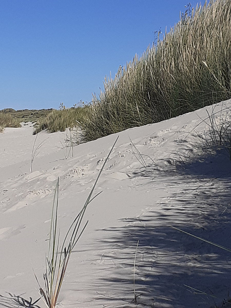 Spuren im Sand
