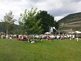 Die alte Eiche und ein paar sehr viel jüngere Bäume